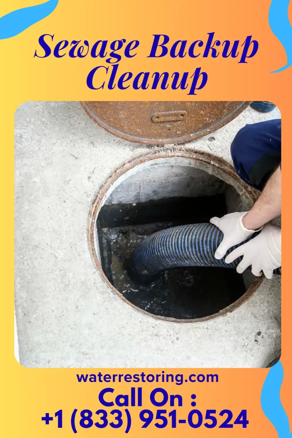 Sewage Backup Cleanup in East Tawas, MI