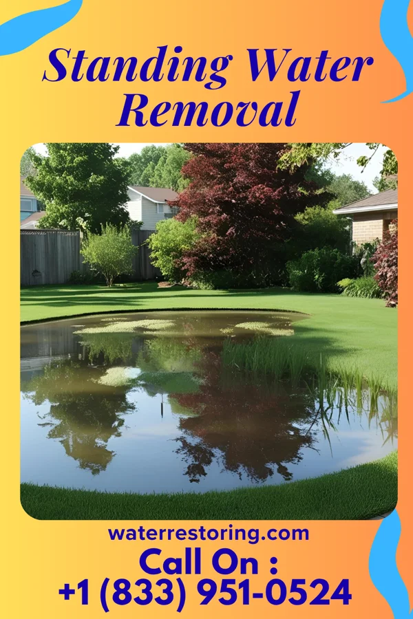 Standing Water Removal in East Tawas, MI